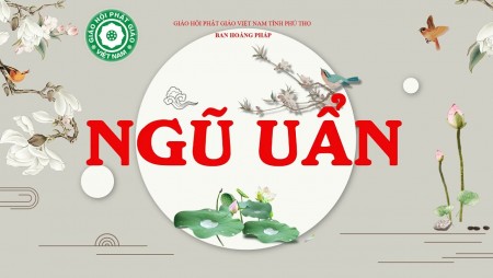 Đại Đức Thích Đạo Hưng giảng Ngũ Uẩn