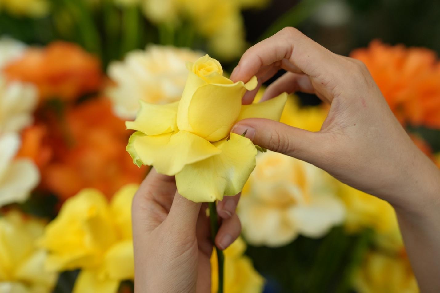 Phú Thọ: Không khí trước thềm Đại hội đại biểu Phật giáo tỉnh lần thứ I - ảnh 17